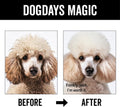 Pride and Groom DogDays Curly + Wavy Grooming Shampoo | Tearless, All-Natural Shampoo for No and Low Shedding Dogs | Moisturizing Formula for Soft, Shiny, & Healthy Fur – 16 oz