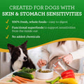 Dr. Harvey's Specialty Diet Limited Ingredient - Dog Food for Dogs with Sensitivities - Turkey Recipe (Trial Size, 5.5 oz)