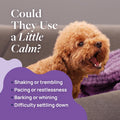 Veterinary Formula Smart Vitality Pet Calm Soft Chews for Dogs