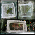 2 Pcs Fish Breeder Incubator Mesh Box, Breeding Box for Fish Tank with Suction Cup