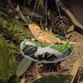 11.8in Reptile Bed，Reptile Hammock Swing Hanging Bed, Lizard Swing Toy, Lizard Bed, Reptile Lounger Terrarium Hanging Ha