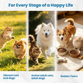 Premium Liquid Collagen & Probiotics for Dogs and Cats - Prebiotics, Biotin, MSM, Vitamin C & Hyaluronic Acid - Support 