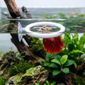 Betta Fish Toys Set - Floating Betta Mirror with Ball & 2 Training Ring Hoop, Interactive Enrichment Toys for Fish Tank 