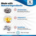 Omega 3 Fish Oil for Dogs Capsules - Salmon Oil for Dogs - Dog Fish Oil Supplement May Help Shedding, Allergy, Itching - Support Dry Skin, Joints - Dog Skin and Coat Supplement - 180 Fish Oil Pills