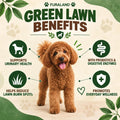 Grass Burn Spot Chews for Dogs - Dog Urine Neutralizer for Lawn, Rocks
