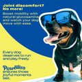 Glucosamine Joint Supplement for Dogs Joint Pain Relief – Glucosamine Chondroitin MSM & Turmeric Hip & Joint Support Che