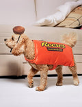 Rubies Hershey's: Reese's Peanut Butter Cup Pet Costume for for Dogs or Cats, L/XL