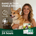 Flea and Tick Prevention for Dogs, 6 Doses Topical Flea Treatment, Helps Control Fleas, Ticks and Lice, for Medium Dogs 23–44 lbs, Waterproof, Fast Acting