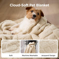 Bedsure Dog Blankets for Small Dogs Washable - Fluffy Fuzzy Cat Puppy Blanket with Premium 300GSM Coral Fleece Soft for Pet Kitten Doggy, White, 25x35IN