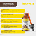 Cough Medicine for Dogs & Cats, Kennel Cough Treatment, Respiratory Infection Support - Sneezing Relief & Cough Treatment - Pet Asthma Support - Made with Natural Ingredients in The USA (4oz)