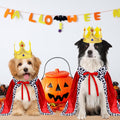 GOYOSWA Dog King Costume, Dog Halloween Costumes King Cloak Crown Set Funny King Prince Costume for Small Medium Large D