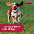 K9 Advantix II Flea & Tick Topical for Medium Dogs 11–20 lbs., 2ct