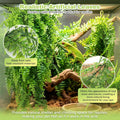 PINVNBY Reptile Plants Hanging Fake Vines Boston Climbing Terrarium Plant with Suction Cup for Bearded Dragons Lizards C