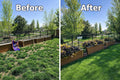 Spot's Pawty Rocks - Helps Reduce Yellow Lawn Spots from Dog Urine