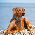 Chain Martingale Collar for Dogs, Dog Training Choker Collar-Bule L