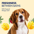 Arm & Hammer Heavy Duty Multipurpose Dog Wipes, Mango, 100 Count