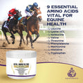 Vital Amino Blend - Horse Care, Coat & Hoof - Performance Horse - No Soy or Sugar- 120 Day Supply