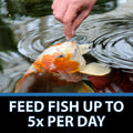CrystalClear Staple Pond Fish Food for Koi & Goldfish, 2.2 Pound Bag