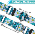 Hikiko Martingale Dog Collar Without Buckle,Escape Proof No Pull,M