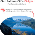 Brilliant Norwegian Salmon Oil for Dogs, Cats, Horse, Ferret - Pure Omega 3, 6 & 9 Fish Oil Food Treats Supplement for Natural Coat, Immune Support, Itchy Skin, Joint & Brain Health - 40 Oz