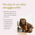 Super Snouts Cognition Support Supplement for Dogs and Cats, 2.64 oz