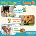 Adjustable Dog Nail Scratch Board with Treat Box – Interactive Dog Nail File Scratch Pad | Built-in Treat Dispenser | No