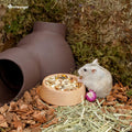 Niteangel Wooden Hamster Food Bowl: Beech Stable & Hammy Pattern for Dwarf