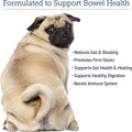 Rx Vitamins NutriGest Capsules for Cats & Dogs - Probiotics for Digestive Health Enhanced with Glucosamine for Gut Health Support - Helps with Constipation Relief and Anti Diarrhea - 90 Capsules