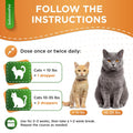 Probiotics for Cats for Digestive Support – Cat Probiotics for Indoor Cats Help with Colic, Upset Stomachs, Diarrhea, Gas, and Bloating – Prebiotics + Pleasant Chicken Flavor Inside – 2 Oz