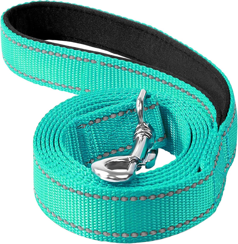 6FT Reflective Dog Leash, Padded Handle for Small Medium Dogs