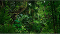 72(W)x16(H)inches/ 180(W)*40cm(H)/Pure Green