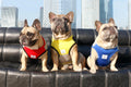 iChoue French Bulldog Summer Cooling Shirt for Dogs UV Sun Protection Vest Sleeveless Stretchy Tank Top English Pug Grey Black - Medium