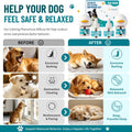 Upgraded Dog Calming Diffuser with 2 Plug-in + 4 Refill, Dog Calming Pheromones Diffuser Starter Kit for Anxiety Relief,