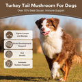 Turkey Tail Mushroom Powder for Dogs, Organic 10 Mushroom Blend for Lipoma Lumps and Bumps, Dog & Cat Herbal Supplements Probiotic with 50% β-Glucan, Joint Gut Immune Skin Support - 60g
