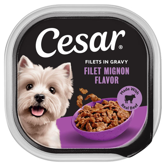 Cesar Filets in Gravy Adult Wet Dog Food Filet Mignon Flavor, 3.5 oz. Easy Peel Dog Food Tray, 24 Count (Pack of 1)
