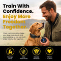 Educator ET-300 Black Mini E Collar for Dog Training with Remote - 1/2 Mile Range, Waterproof, 100 Blunt Stimulation Lev
