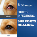 Dog Eye Drops | Dog Eye Infection Treatment | Flush Irritants & Reduce Redness, Watering & Discharge | Sterile Solution 