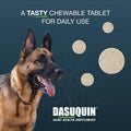 Nutramax Dasuquin MSM Joint Supplement, Large Dogs Chewable Tablets, 150ct