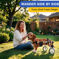 Dog Wheelchair for Back Leg Dog,12-17L 7-11H,Rear Legs Support