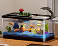 5.3 Gallon Fish Tank, Betta Fish Tank, Starter Kit, Aquarium for Beginner