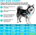 3-Flap Never Rust Extra Large Dog Door for Doors with Sliding Lock Panel, Steel Frame and Telescoping Tunnel Pet Door, Extreme Weather Durable Doggy Door （Pets Up to 220 Lb）