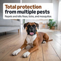 Amazon Basics Preventative Flea, Tick & Mosquito Topical Treatment for Large Dogs (21-55 pounds), 6 Count, Packaging May Vary