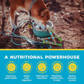 Brutus Bone Broth for Dogs - Bone Broth Powder with Chondroitin Glucosamine & Turmeric - Human Grade Food Toppers for Dr
