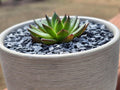 Natural Slate Stone Gravel 1/8 to 1/4 inch - USA Sourced and Packaged for Basing Models, Wargaming, Mosaic Stone Art, Cr