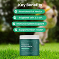 Paw Balance Dog Probiotics and Multivitamin Chews for Digestive Health, Immune Support, Gut Health, Allergy Support, Dog Vitamins, with Vitamin C, Omega 3, Colostrum, 60 Soft Chews per Jar