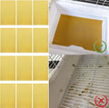 Acsist 50PCS Gravel Paper for Bird Cage, 17 x 11 inch Cuttable Sea Sand Paper Liners, Calcium Sandpaper for Hard-Billed Birds, Bird Cage Liners for Parrots,Cockatiels & All Your Feathered Friends