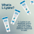 Felisyl L-Lysine Gel for Cats & Kittens (5oz) – Immune System, Respiratory & Eye Health Support. Reduces Sneezing, Runny Nose & Watery Eyes. Daily Salmon-Flavor Supplement – Made in USA (1 Pack)