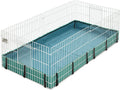 MidWest Homes for Pets Guinea Habitat Cage, Washable PVC Canvas Bottom, Secure Sides, Tool-Free Setup, Expandable Small 