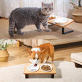 COMESOON 5" Ceramic Cat Bowl with Paws Pattern, Cat Food Bowl for Food and Water, Healthy Cat Dishes for Indoor Cats and Small Dogs, Dishwasher Safe & Microwaveable - White