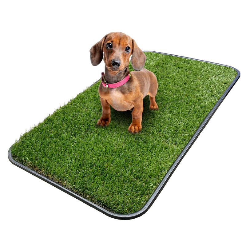 Ottomanson Artificial Grass Puppy Potty Training Pad with Tray, 15